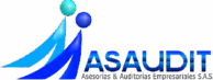logo asaudit